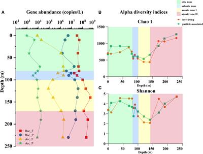 Unique bacterial communities and lifestyles in deep ocean blue holes: Insights from the Yongle Blue Hole (South China Sea)